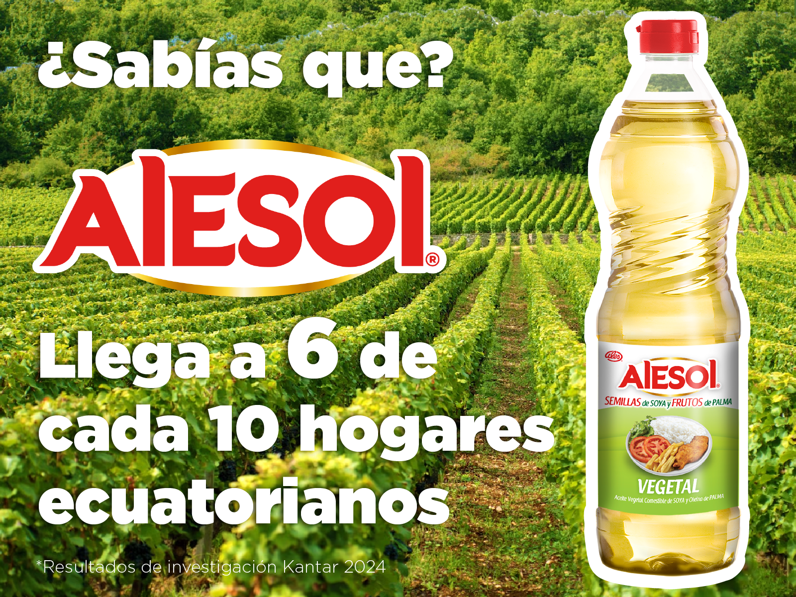 Uno de los preferidos en los hogares ecuatorianos
