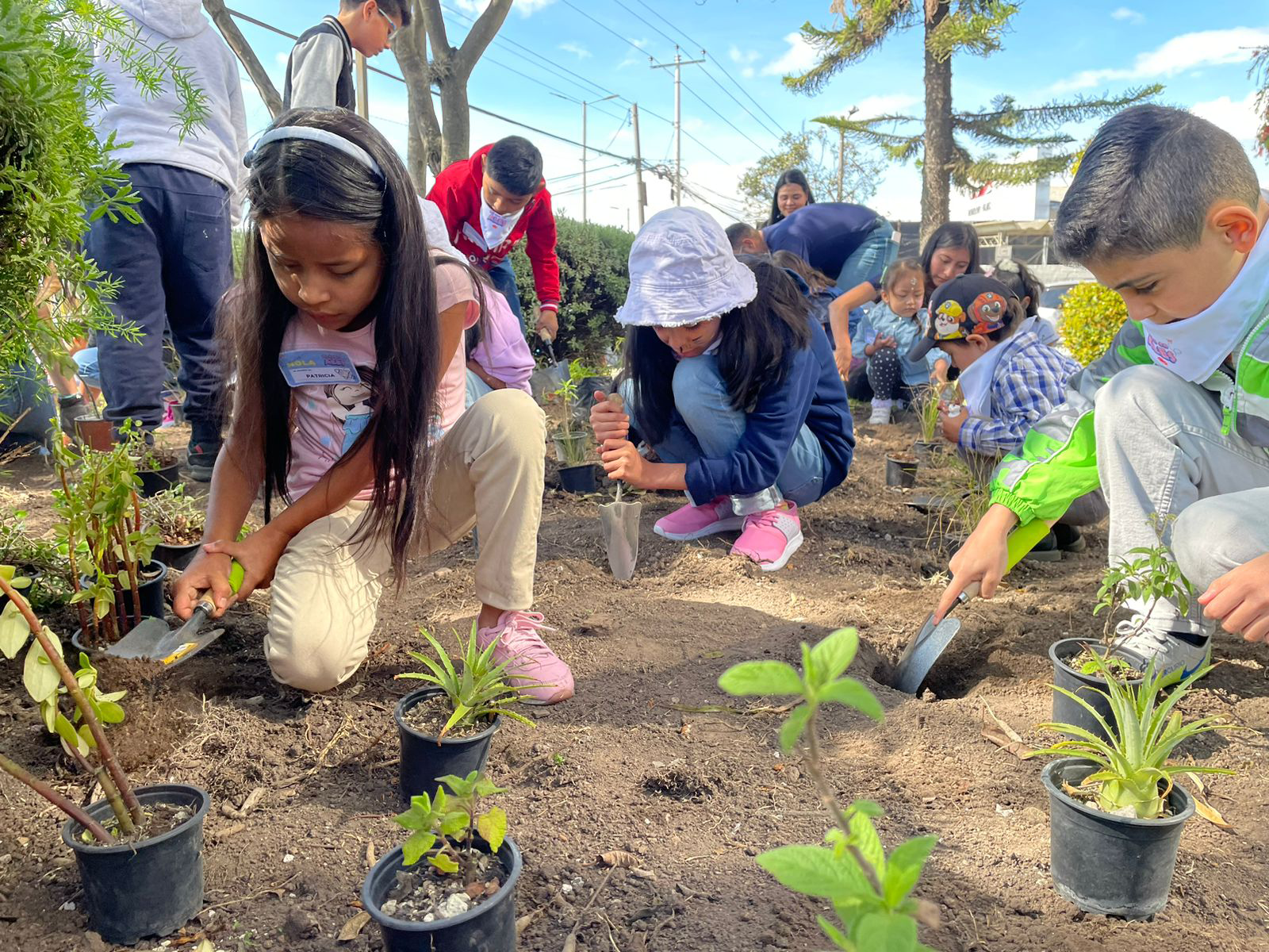 Reconocimiento Fundación Great Leaf: Industrias Ales parte de proyecto ReConectar