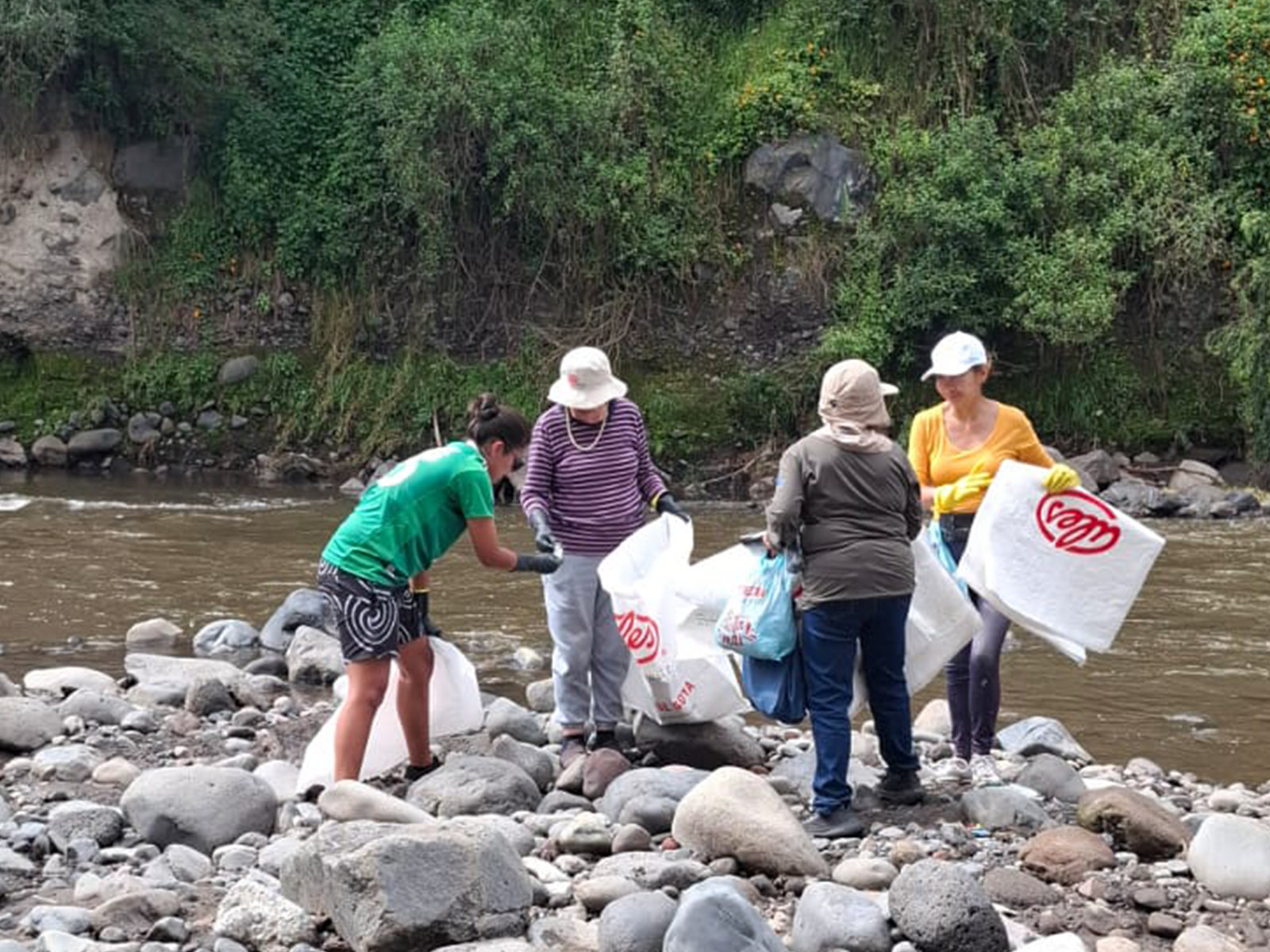 Semillero de voluntariado Ales: Un Día para Cuidar el Agua, un Futuro para Todos